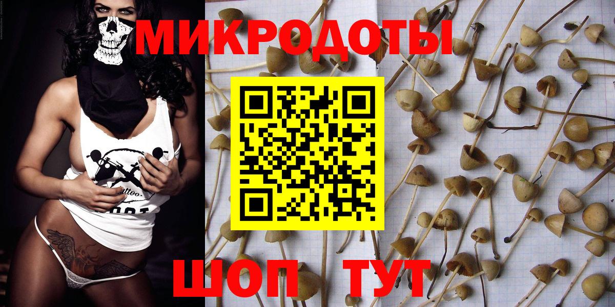 Галлюциногенные грибы Cubensis Гулькевичи